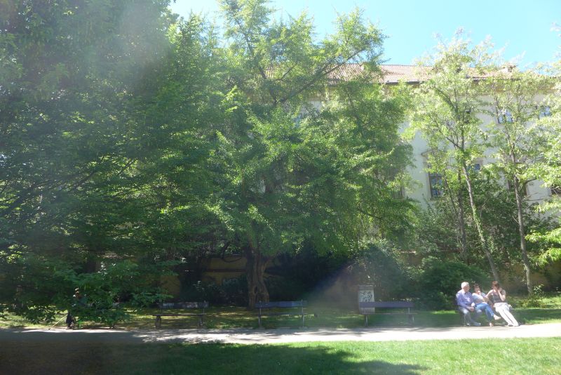 Snov� atmosf�ra Nosticovy zahrady 7. 5. 2018