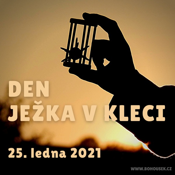 Den je�ka v kleci
