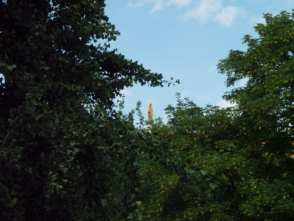 Pr�hled na Ign�ce (Alvarez)