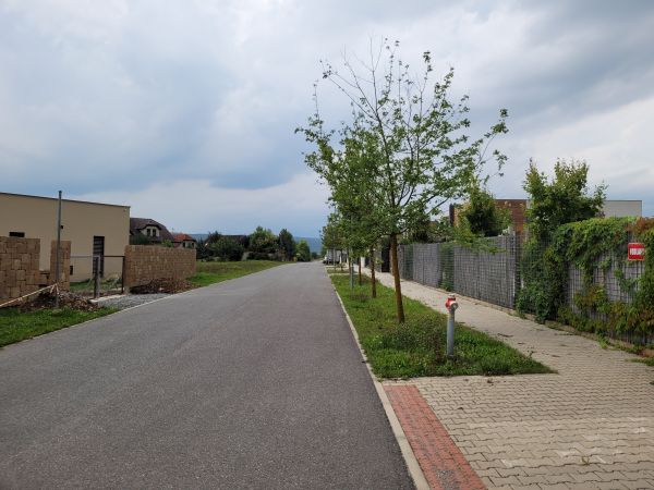 Foglarova - �erno�ice (2022)