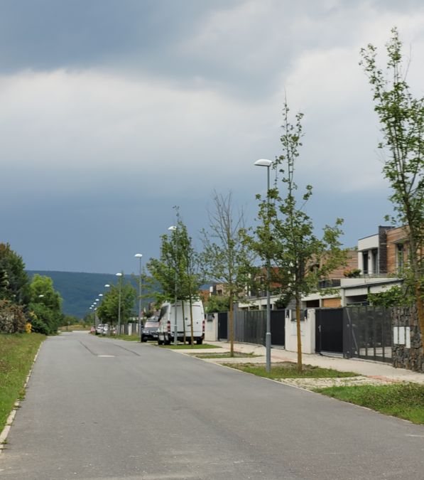 Foglarova - �erno�ice (2022)