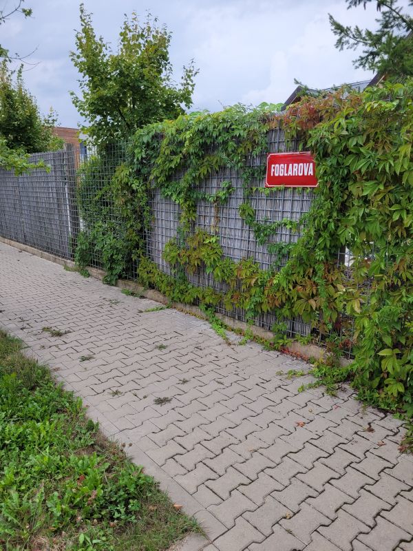 Foglarova - �erno�ice (2022)